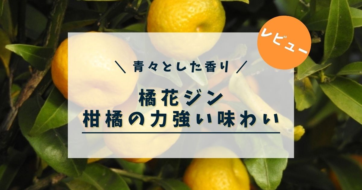 【レビュー】橘花ジン（KIKKA GIN）｜青々とした香り・力強い味がクセになる！